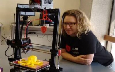 Meet the Maker: FreeFab 3D
